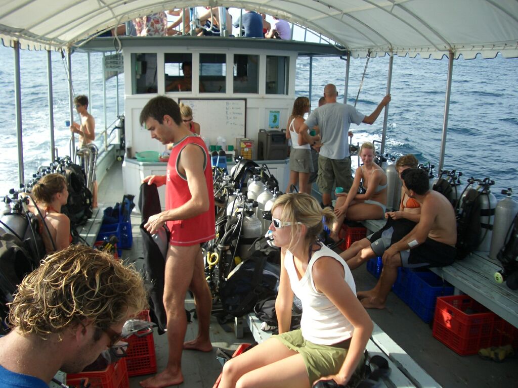 Click to See Next Image